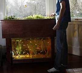 aquaponic systems usually contain fresh water although salt water 